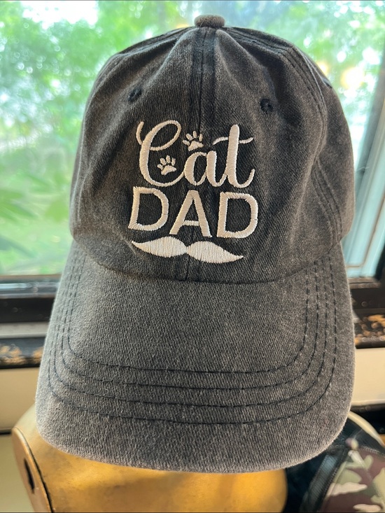 Other - Cat Dad Embroidered Baseball Hat - Gray